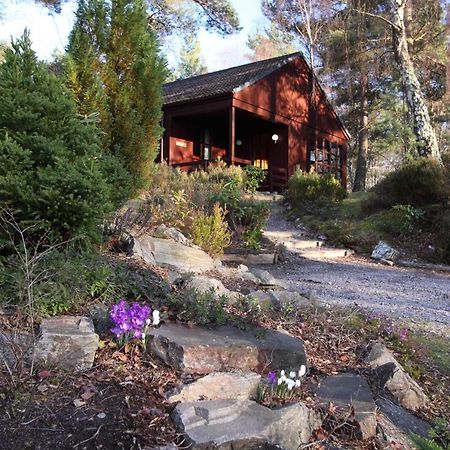 פורס Tullochwood Lodges מראה חיצוני תמונה