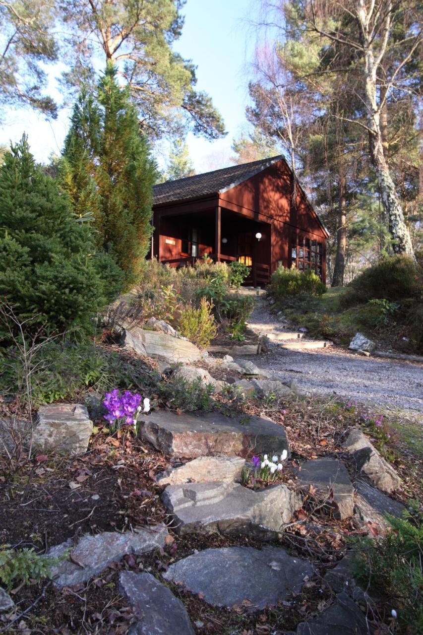 פורס Tullochwood Lodges מראה חיצוני תמונה